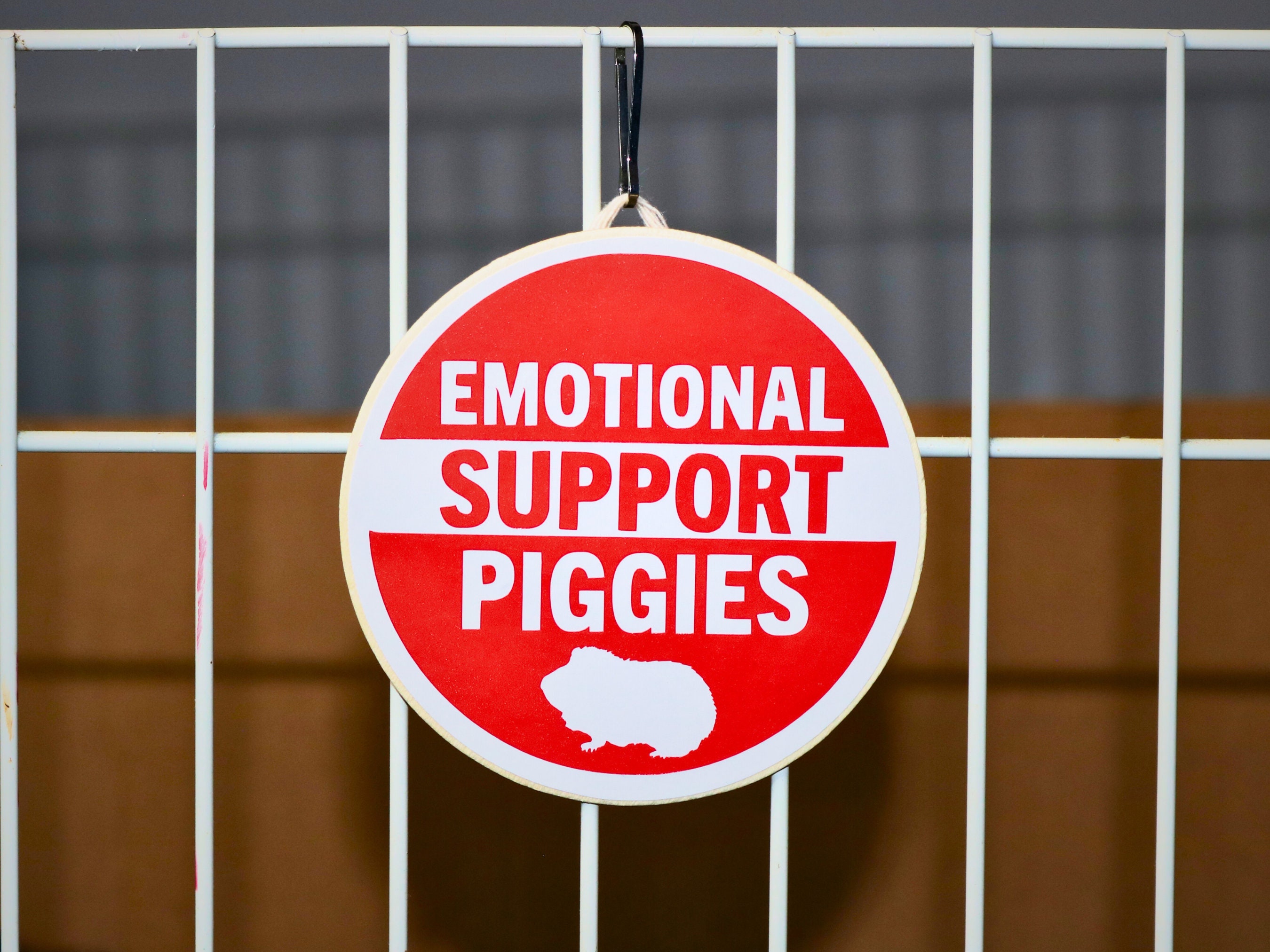 Emotional Support Piggies Wooden Guinea Pig Cage Sign, Cute Guinea Pig ...