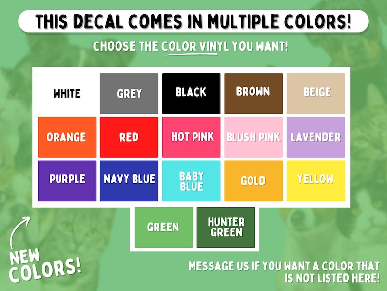 Ball Python Name Decal for Ball Python Enclosure Accessories for Royal Python Tank Stickers for Reptile Enclosure Custom Snake Name Decal image 7