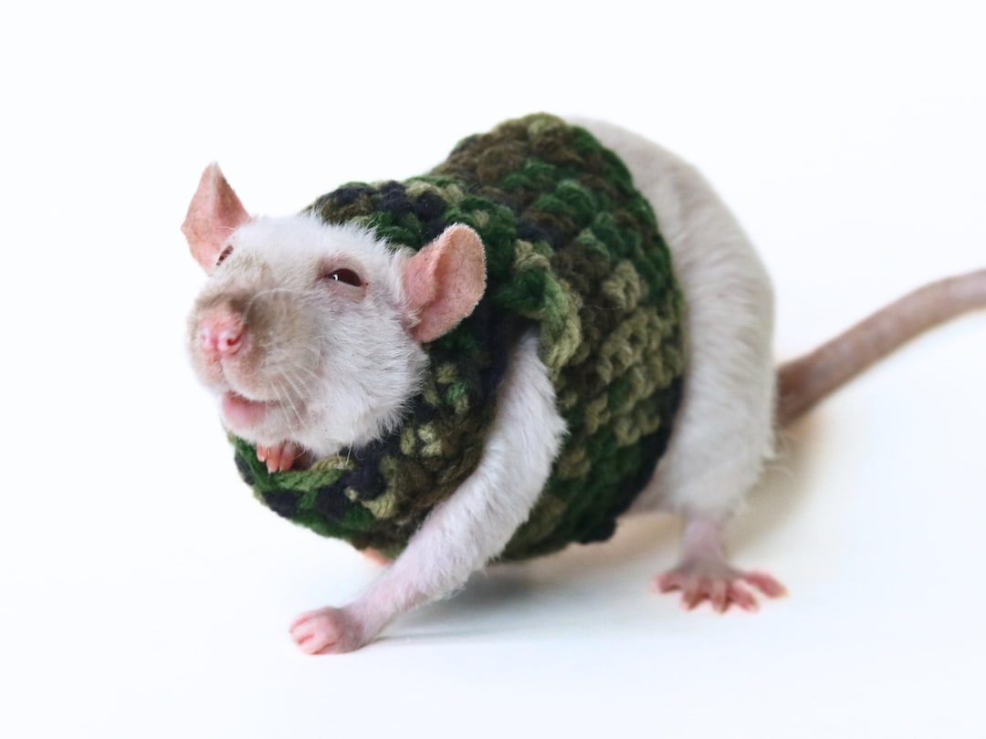 Clothes For Rats Tutorial Camouflage Rat Sweater for Fancy Rat Clothing for Small Pet Clothing ...