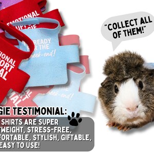 Photo inspiration: Picture Idea: Professional Therapy Pig Guinea Pig Shirt Custom Therapy Pet Vest