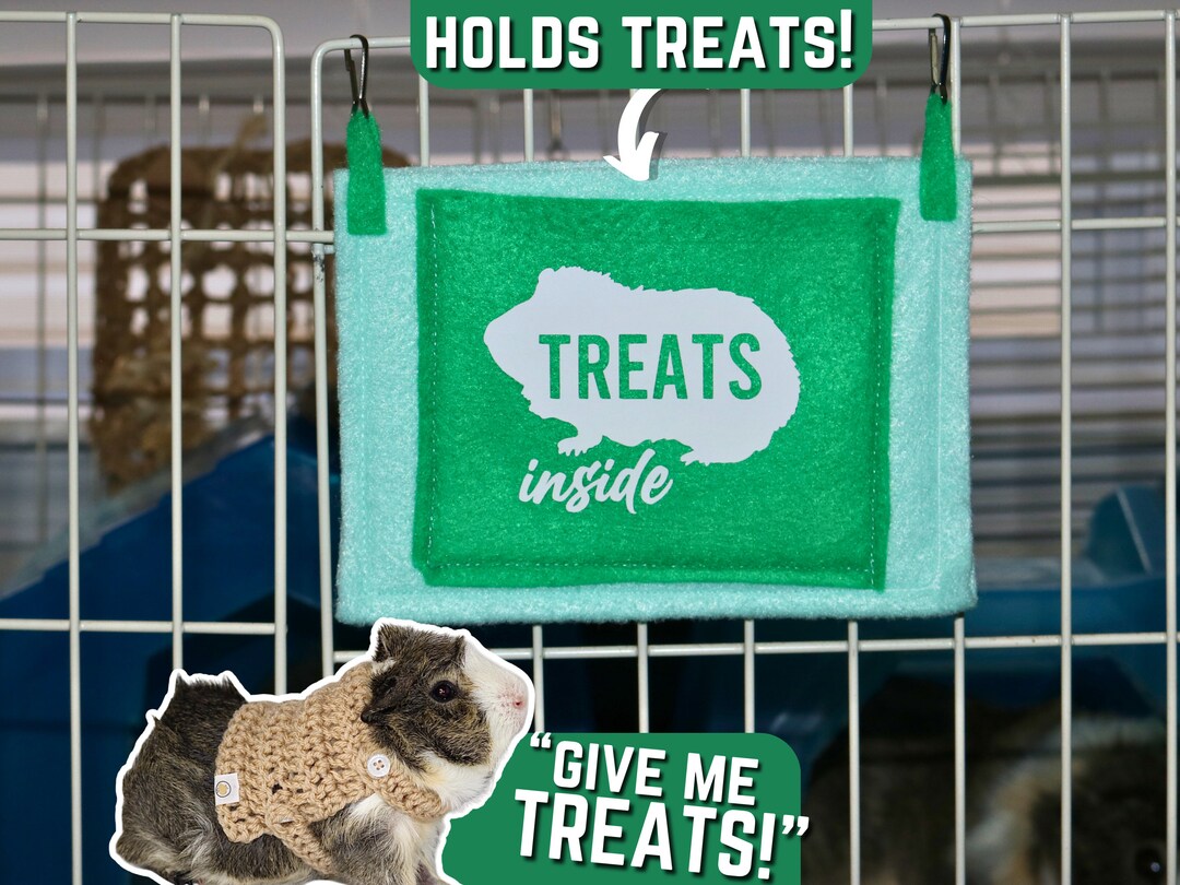 Custom Guinea Pig Cage Treat Holder for Pets Treat Dispenser for Cage ...