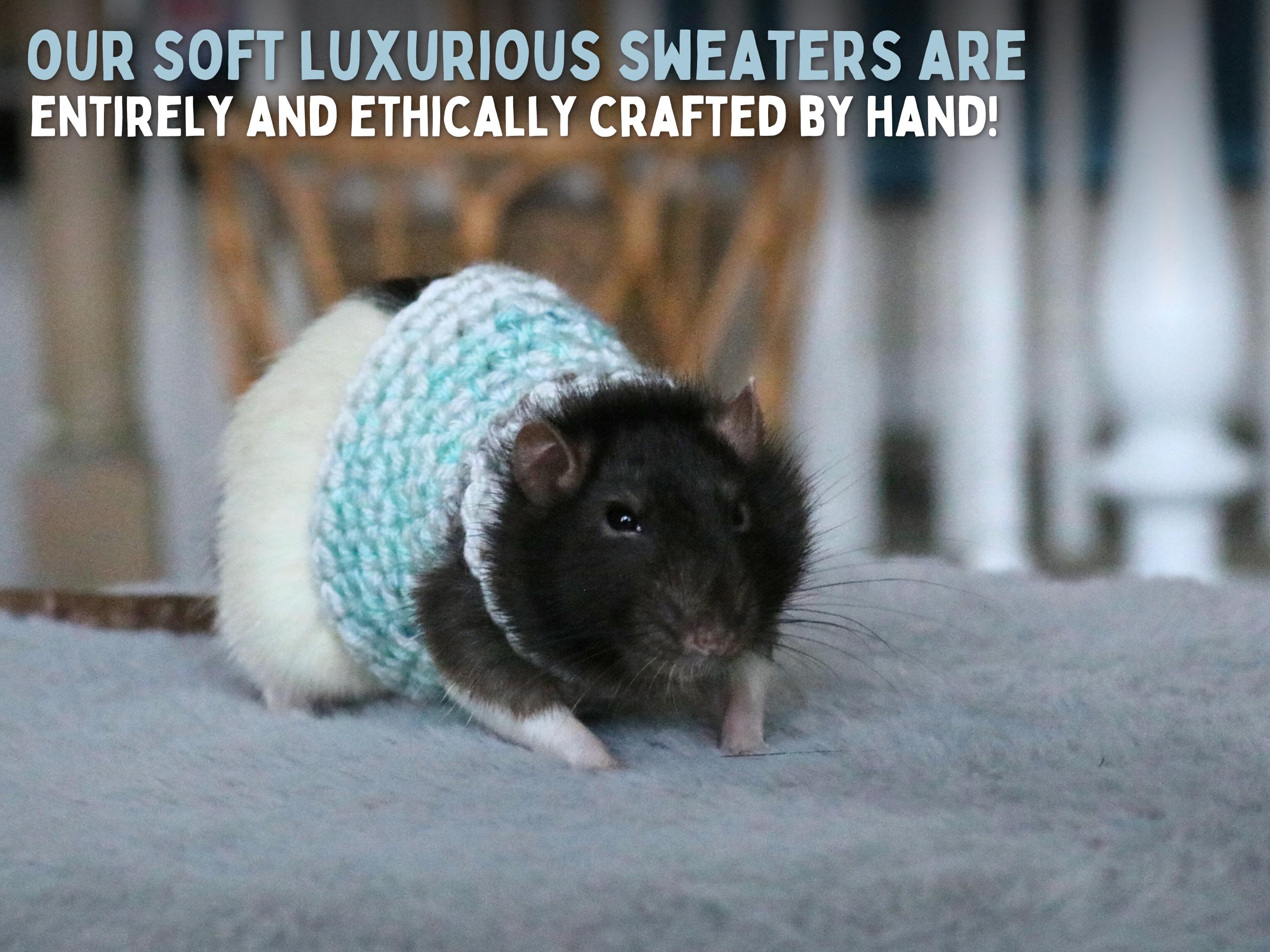 Clothes For Rats Tutorial Rat Sweater for Rat Crochet Sweater for Small Pet Sweater for Fancy Rat ...