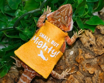 Funny Bearded Dragon Shirt for Lizard Shirt For Bearded Dragon Shirt for Pet Lizard Accessories for Bearded Dragon Shirt Funny Pet Shirt