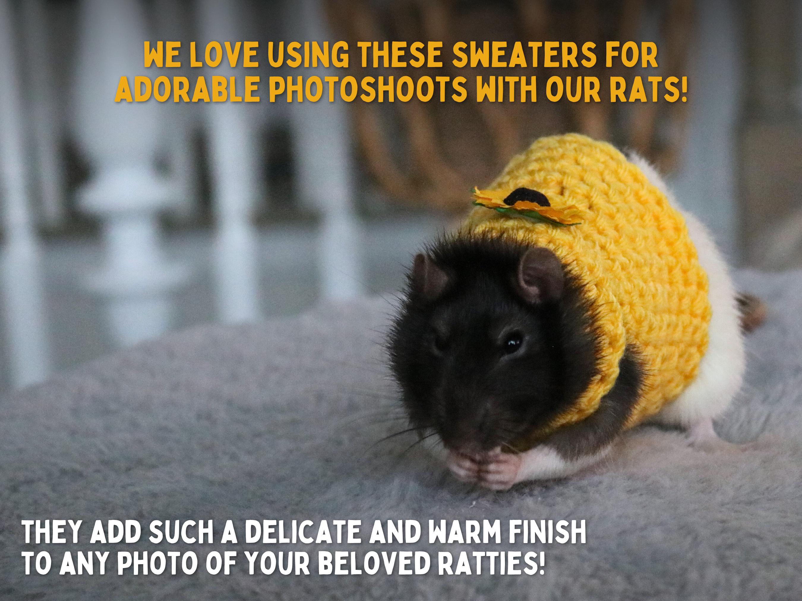 Clothes For Rats Tutorial Sunflower Rat Sweater for Rat Crochet Sweater for Small Pet Sweater for ...