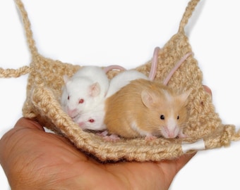Buy Hamster Hammock Large Pet Mice Accessories for Small Pet