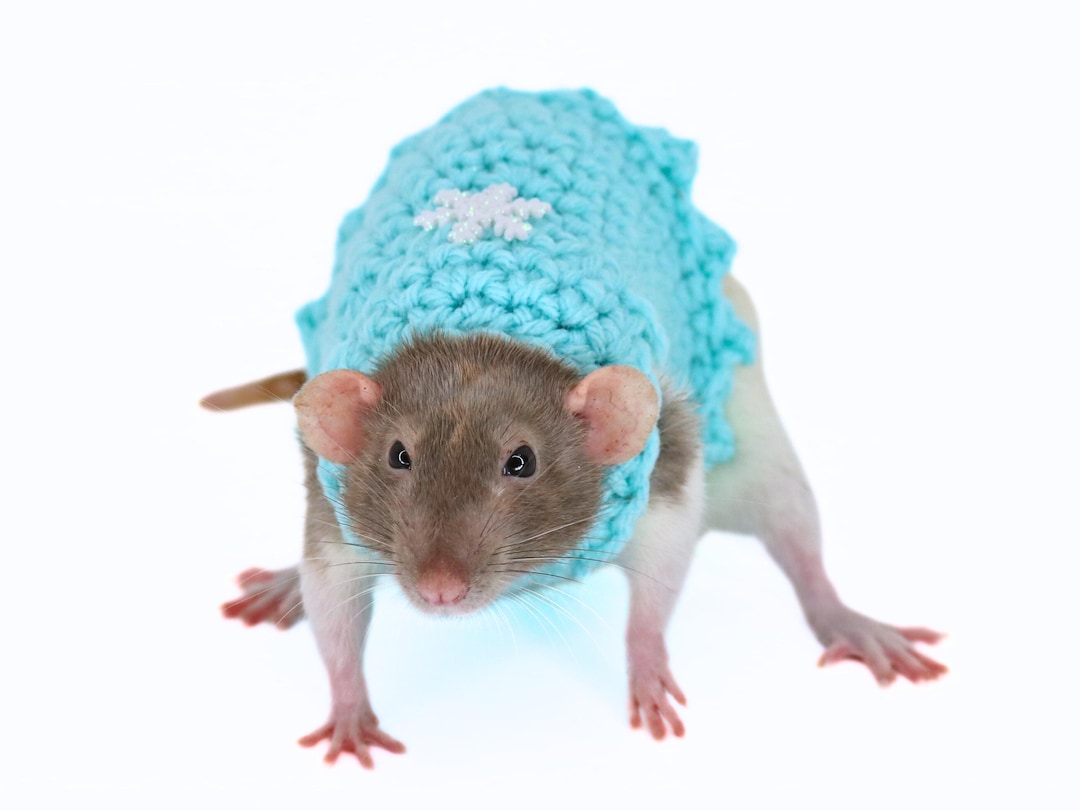 Clothes For Rats Tutorial Snowflake Rat Sweater for Rat Crochet Sweater for Small Pet Holiday ...