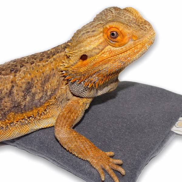 Wireless Pet Heating Pad For Reptiles Heating Pad for Pets Health Accessories for Bearded Dragons Accessory Heating Pad for Power Outage