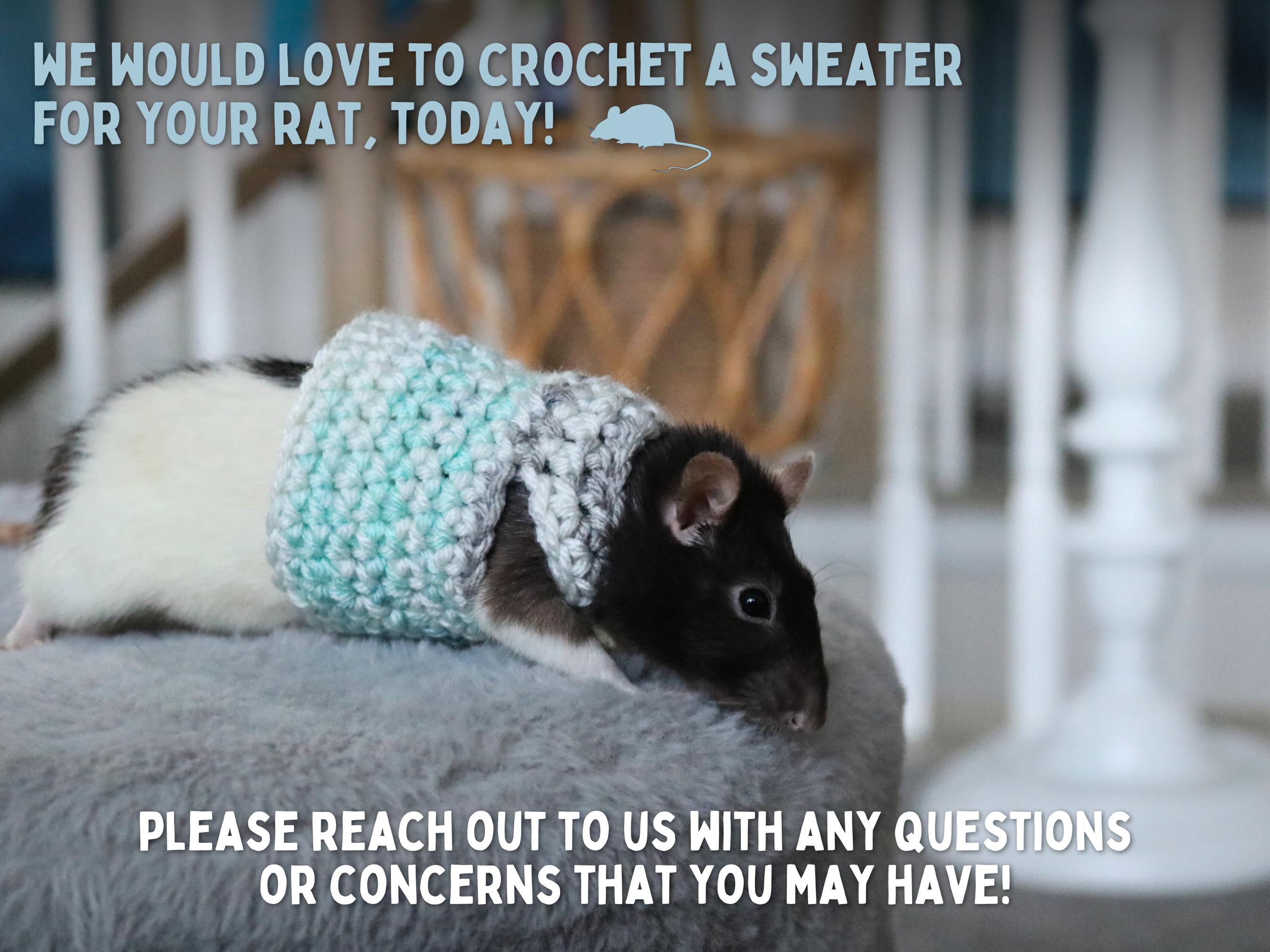 Clothes For Rats Tutorial Rat Sweater for Rat Crochet Sweater for Small Pet Sweater for Fancy Rat ...