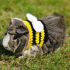 Bumblebee Guinea Pig Costume For Guinea Pig Bee Costume for your Skinny Pig Sweaters For Guinea Pigs Pet Costumes For Halloween Pet Costumes