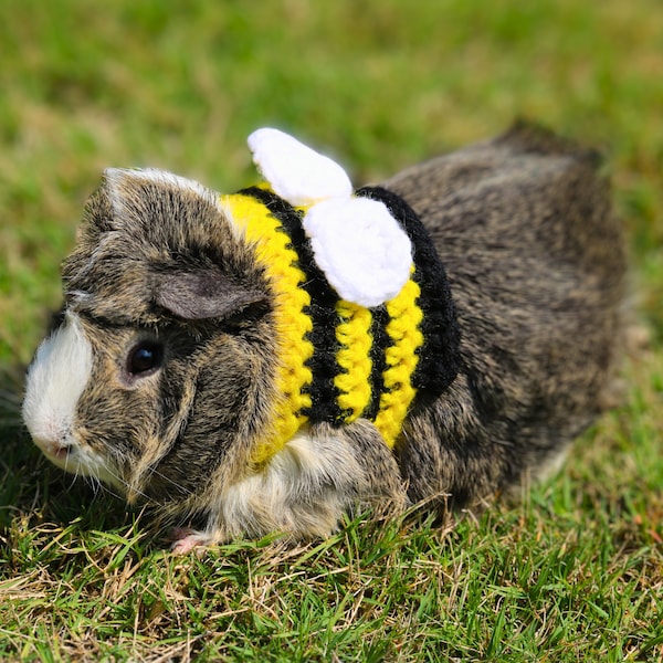 Bumblebee Guinea Pig Costume For Guinea Pig Bee Costume for your Skinny Pig Sweaters For Guinea Pigs Pet Costumes For Halloween Pet Costumes