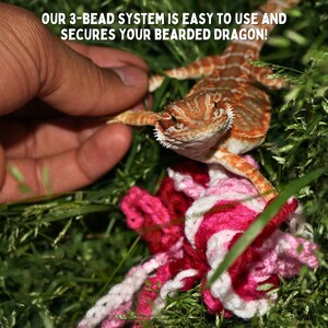 May include: A bearded dragon lizard with orange and white markings is being held by a hand. The lizard is sitting on a bed of green grass with pink and white yarn.