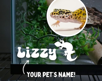 Leopardgecko Name Aufkleber für Leopardgecko Gehege Zubehör für Eidechse Tank Aufkleber für Eidechse Benutzerdefinierter Name Aufkleber für Reptilienpanzer