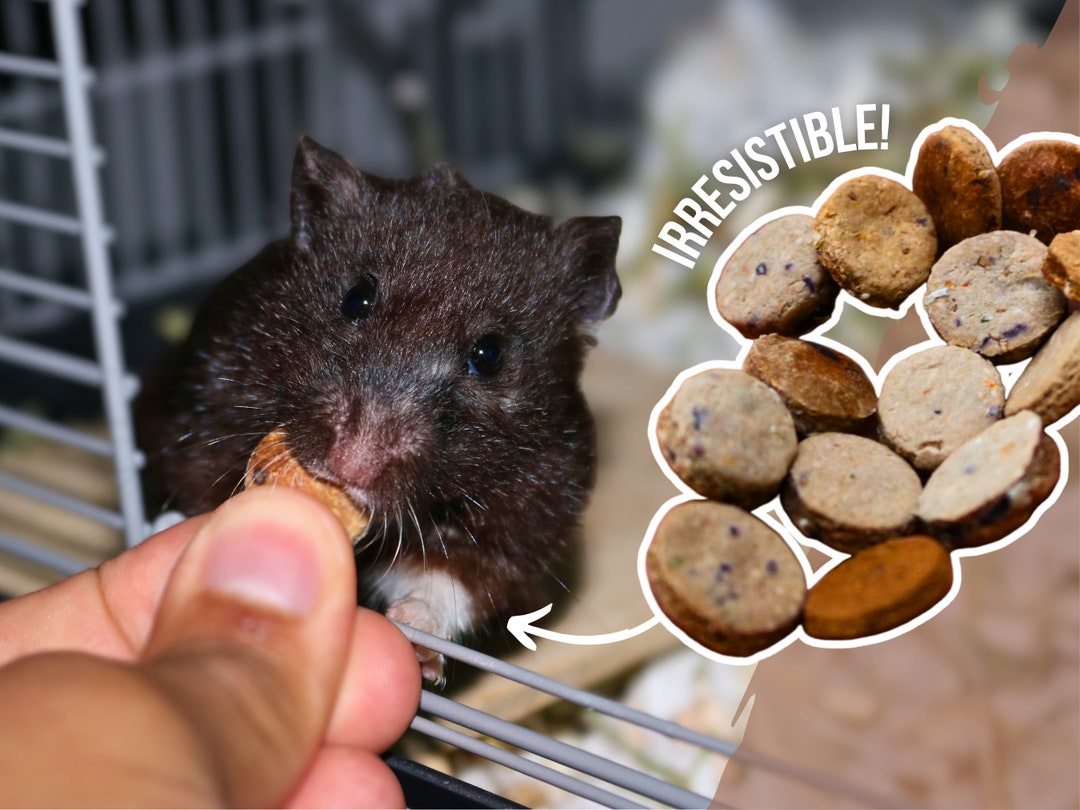 Hamster Treats Organic Pet Treats for Pet Mice Organic Treats Etsy