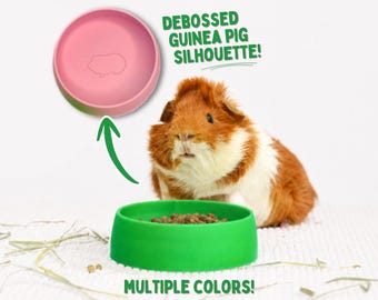 Guinea Pig Food Bowl | 3D Printed Small Pet Food Bowl for Guinea Pig Cage Accessories, Custom Small Pet Food Dishes