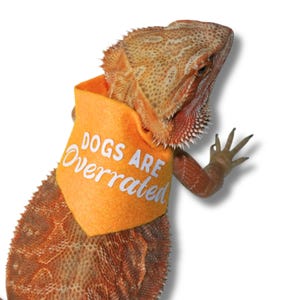 Funny Bearded Dragon Bandana For Bearded Dragon Handkerchief For Funny Reptile Accessory Gift For Bearded Dragon Clothing for Pet Lizards