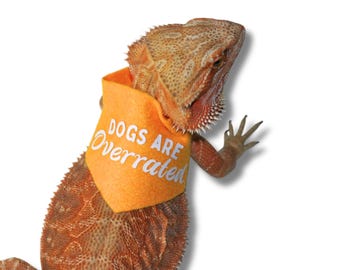 Grappige baardagaam bandana voor bebaarde draak zakdoek voor grappig reptiel accessoire cadeau voor bebaarde draak kleding voor huisdier hagedissen