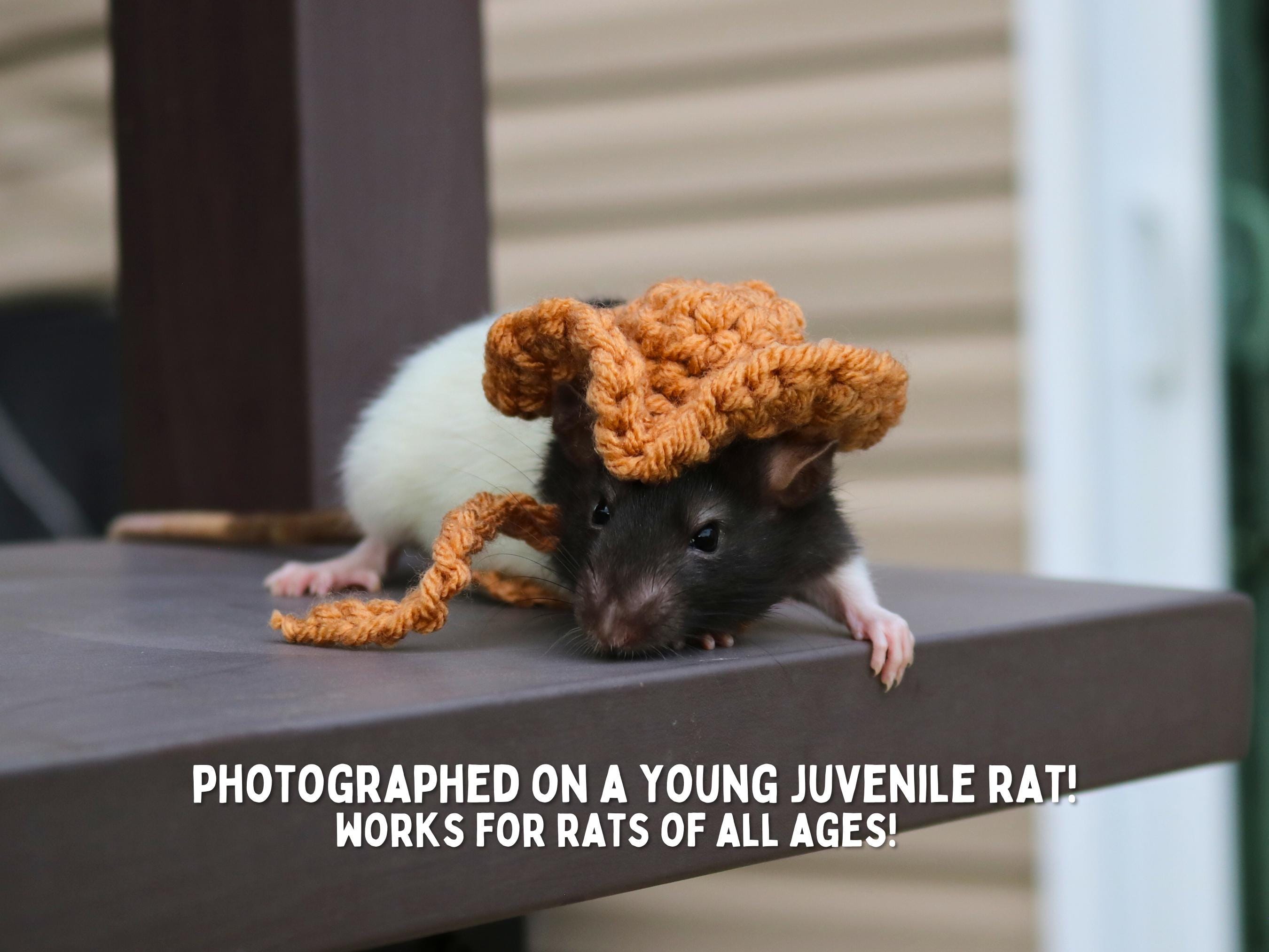 Pet Rat Hat for Fancy Rat Bucket Hat for Small Animal Clothing and