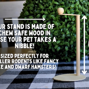 May include: A wooden stand for small rodents, made of chew-safe wood. The stand is 6 inches tall and has a round base. It is sized perfectly for smaller rodents like fancy mice and dwarf hamsters.