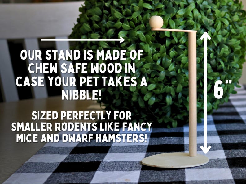 May include: A wooden stand for small rodents, made of chew-safe wood. The stand is 6 inches tall and has a round base. It is sized perfectly for smaller rodents like fancy mice and dwarf hamsters.