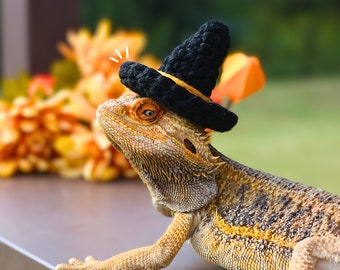 Pet Halloween Witch Hat Prop For Photography and Photoshoots, Reptile Clothing Accessories For Halloween Pet Witch Hat Costume For Halloween