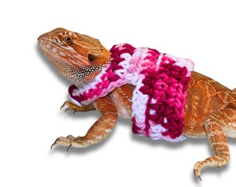 May include: A bearded dragon wearing a pink and white crocheted sweater. The sweater is a vest style with a pink and white striped pattern.
