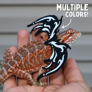 May include: A bearded dragon wearing a black and white patterned dragon wing costume. The costume is made of felt and has a white trim. The text "MULTIPLE COLORS!" is visible in the image.