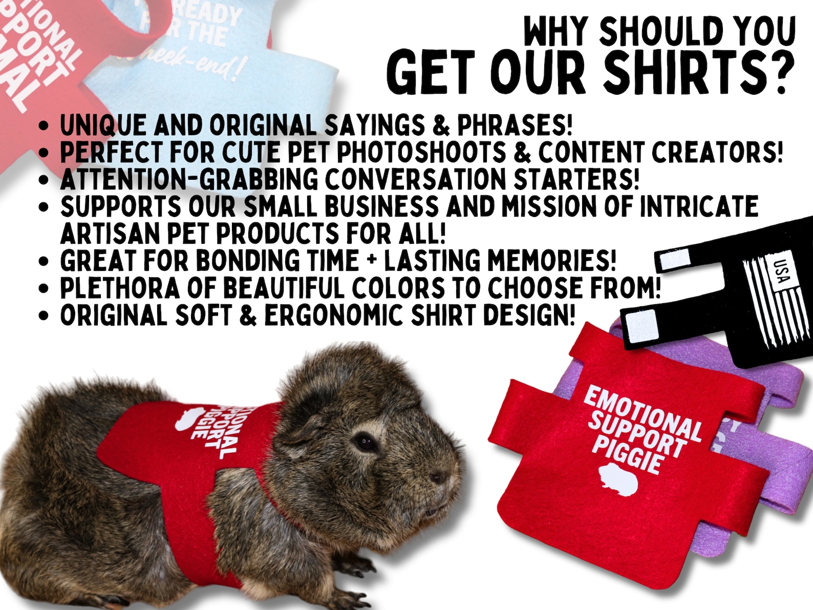 Fresh Look at Professional Therapy Pig Guinea Pig Shirt Custom Therapy Pet Vest