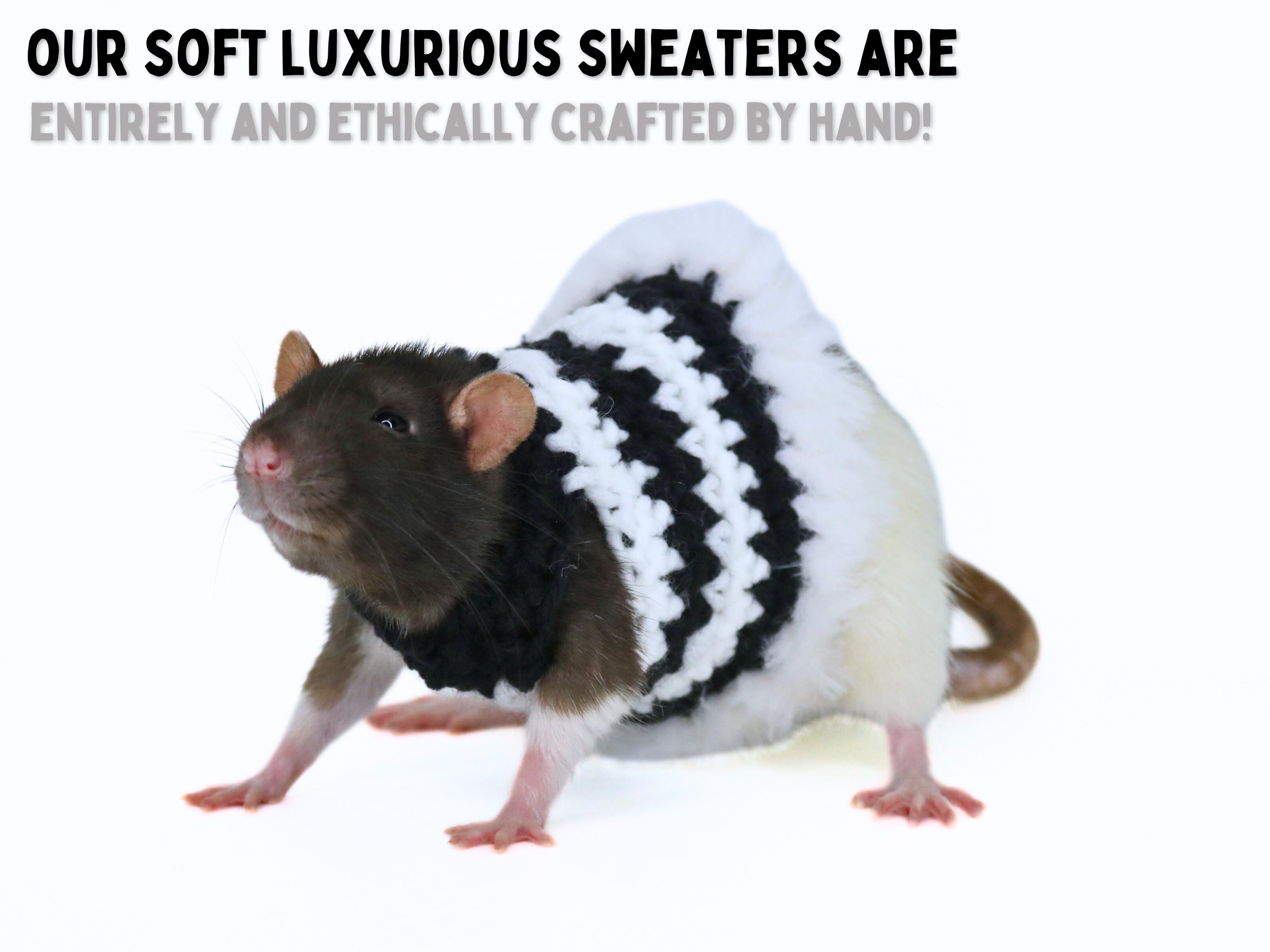 Striped Rat Sweater for Rat Crochet Sweater for Small Pet Dress 