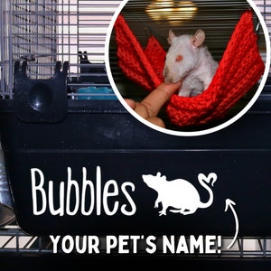 Rat Name Cage Decal for Rat Cage Custom Sign for Rat Cage Accessory for Rodent Cage Name Sticker for Pet Rats Custom Cage Decor for Rat Cage