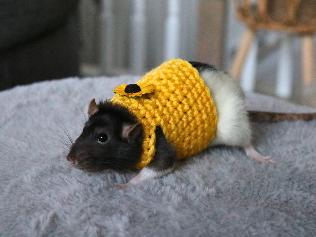 Clothes For Rats Tutorial Sunflower Rat Sweater for Rat Crochet Sweater for Small Pet Sweater for ...