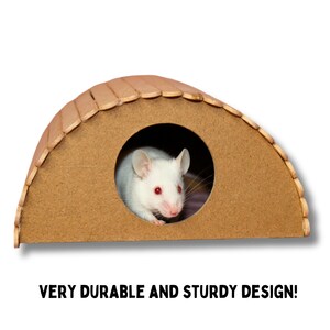 Illustration of Curative Hiding Spots For Hamsters
