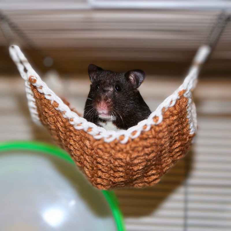 Hamster Cage Accessories - Etsy - Great Hamster Accessories