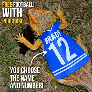 Football Jersey For Bearded Dragon Costume Football Jersey For Reptile Lizards Clothing Sports Costume Soccer Shirt For Pet Bearded Dragon