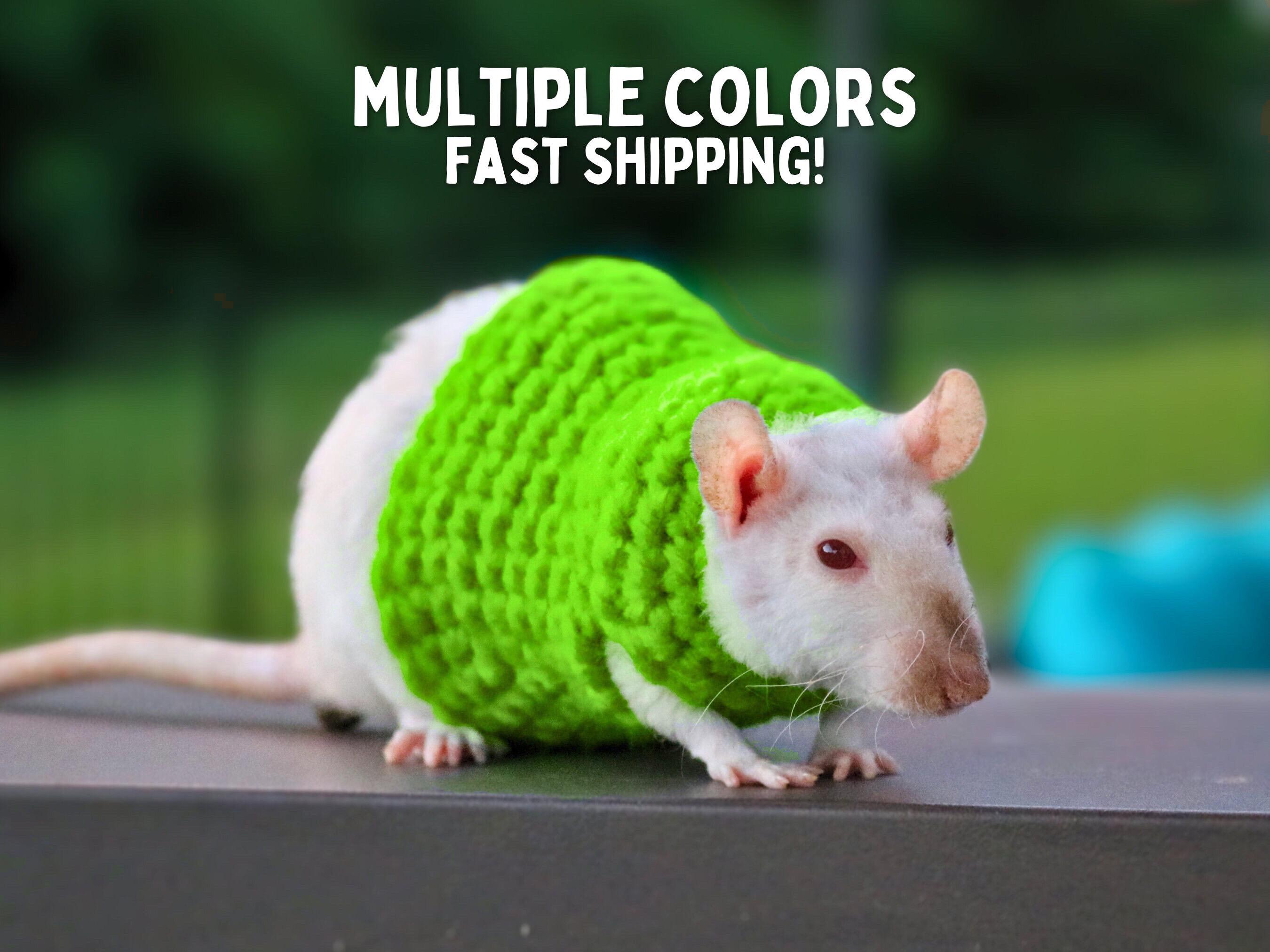 Crochet Rat Sweater Handmade Rat Clothes for Hairless Rats Fancy 