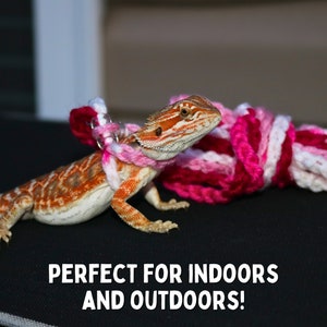 May include: A bearded dragon wearing a pink and white crocheted harness. The harness is attached to a pink and white crocheted leash.