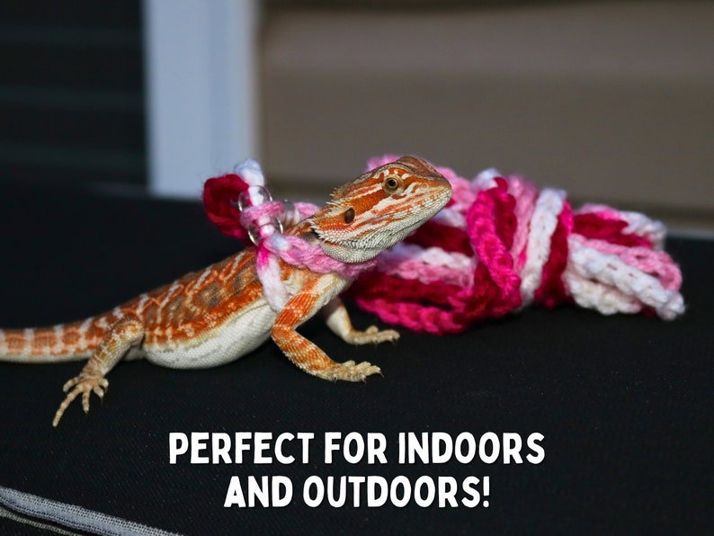 May include: A bearded dragon wearing a pink and white crocheted harness. The harness is attached to a pink and white crocheted leash.