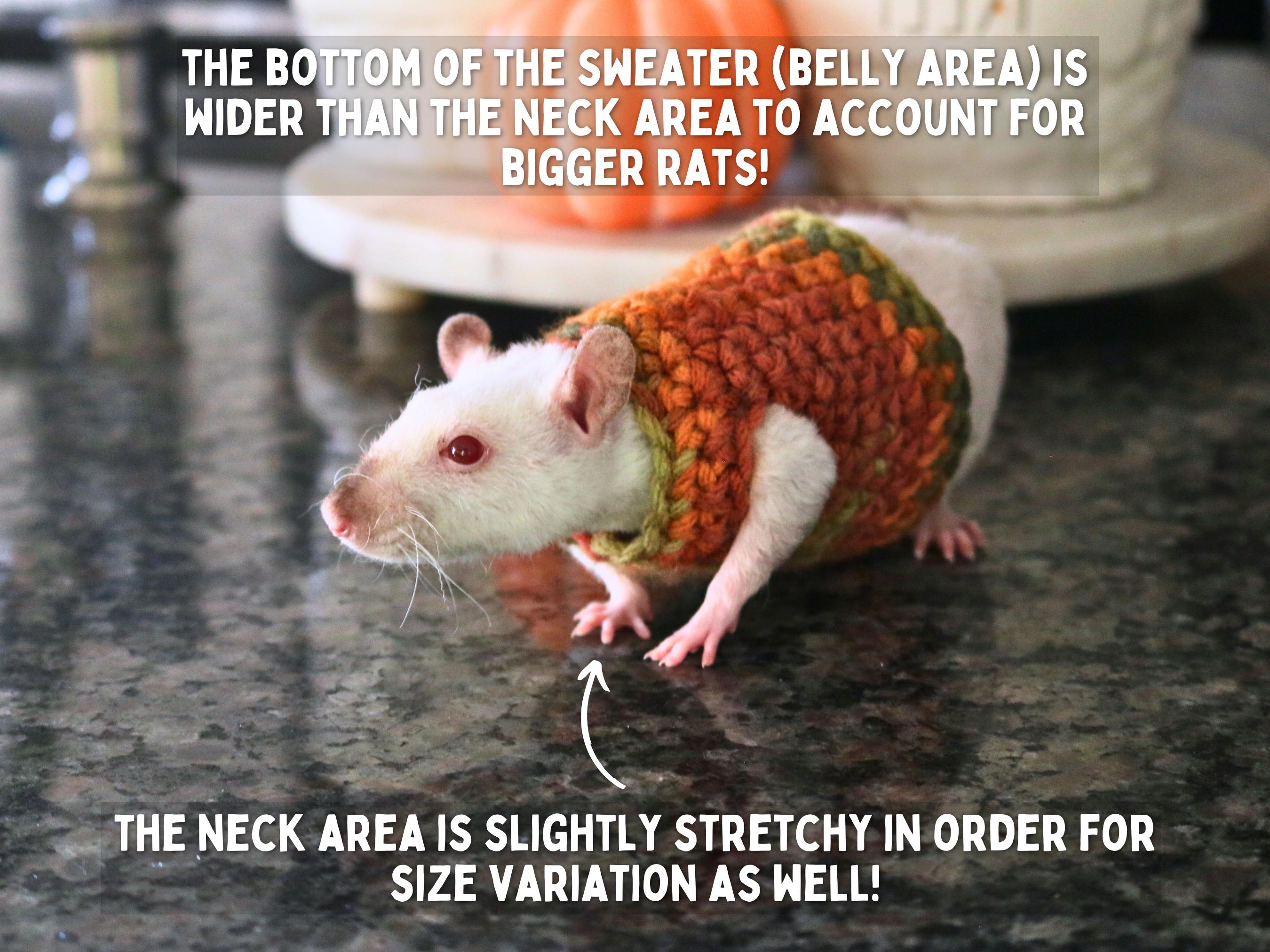 Rat Sweater for Rat Crochet Sweater for Small Pet Sweater for 