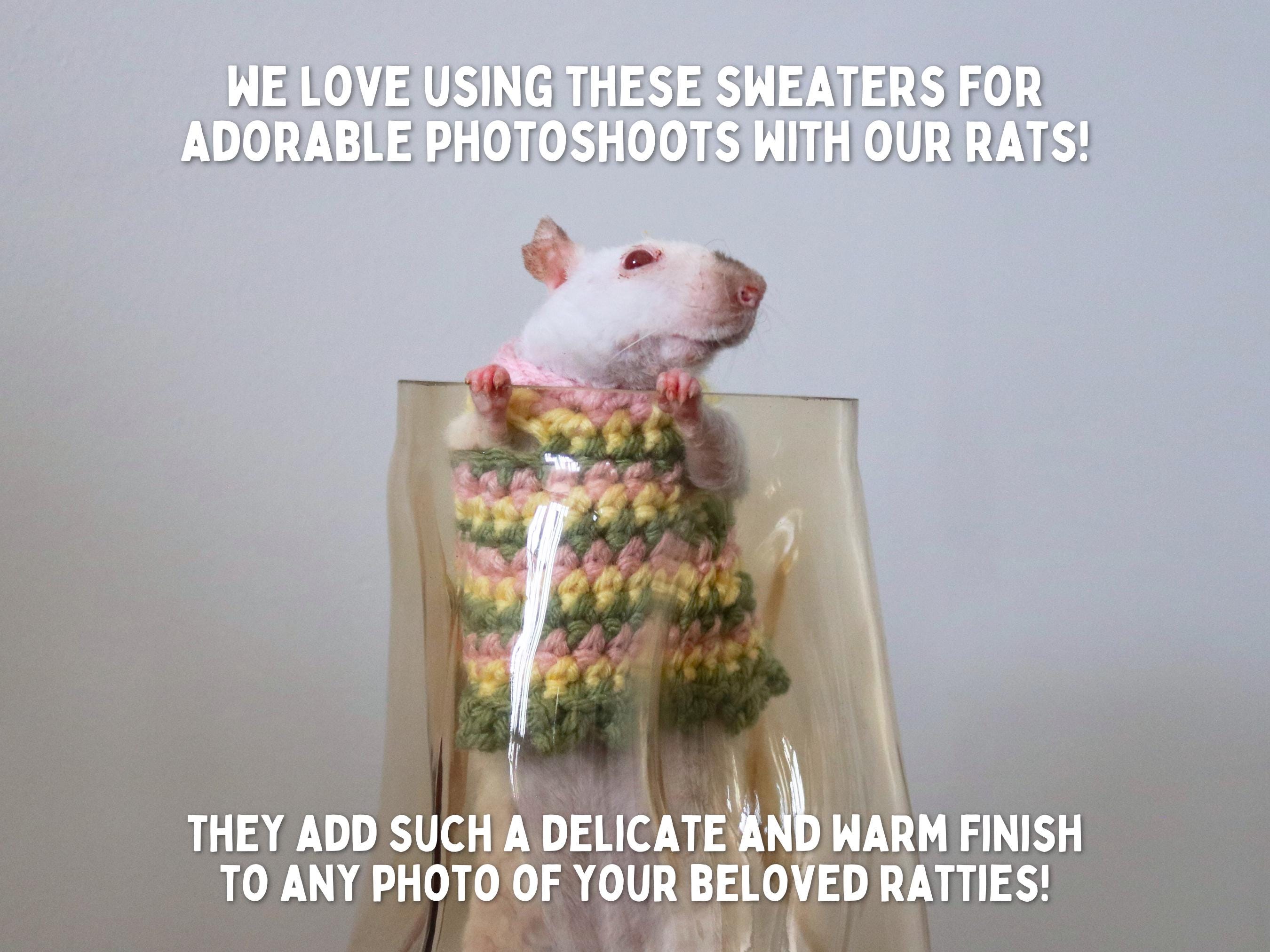 Clothes For Rats Tutorial Rat Sweater for Rat Crochet Sweater for Small Pet Sweater for Fancy Rat ...