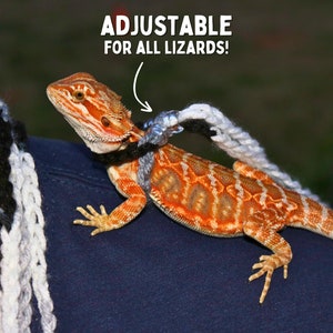 May include: A bearded dragon lizard wearing a white and black adjustable harness with the text "ADJUSTABLE FOR ALL LIZARDS!" on a blue shirt.
