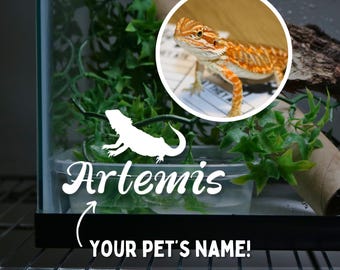 Calcomanía con nombre de dragón barbudo para terrario, accesorios para tanque de dragón barbudo, pegatinas para lagarto, pegatinas con nombre personalizadas para mascotas.