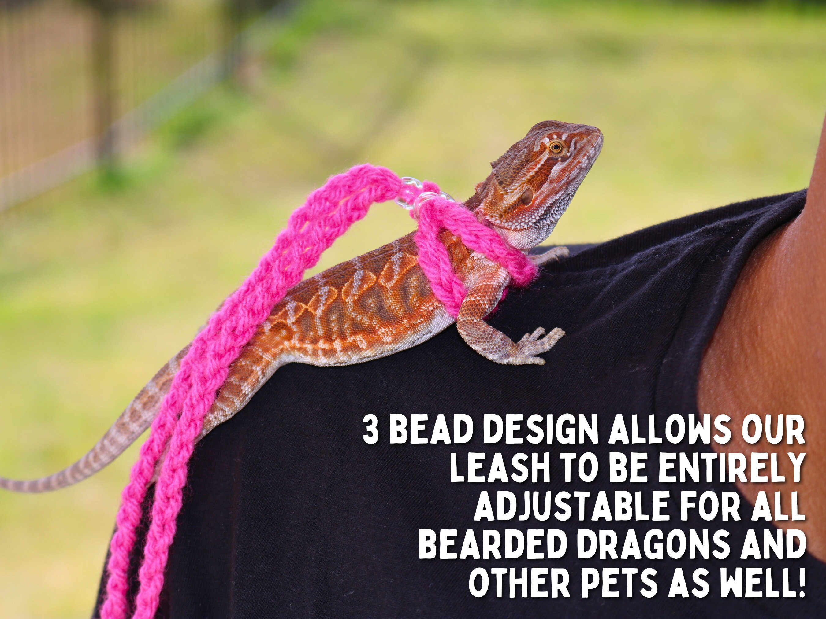 thumbnail image 2 of Bearded Dragon Memorial Gift, Personalized Bearded Dragon Memorial Picture Frame Pet Lizard Remembrance Gift, Pet Reptile Sympathy Pet Loss 2 of 9