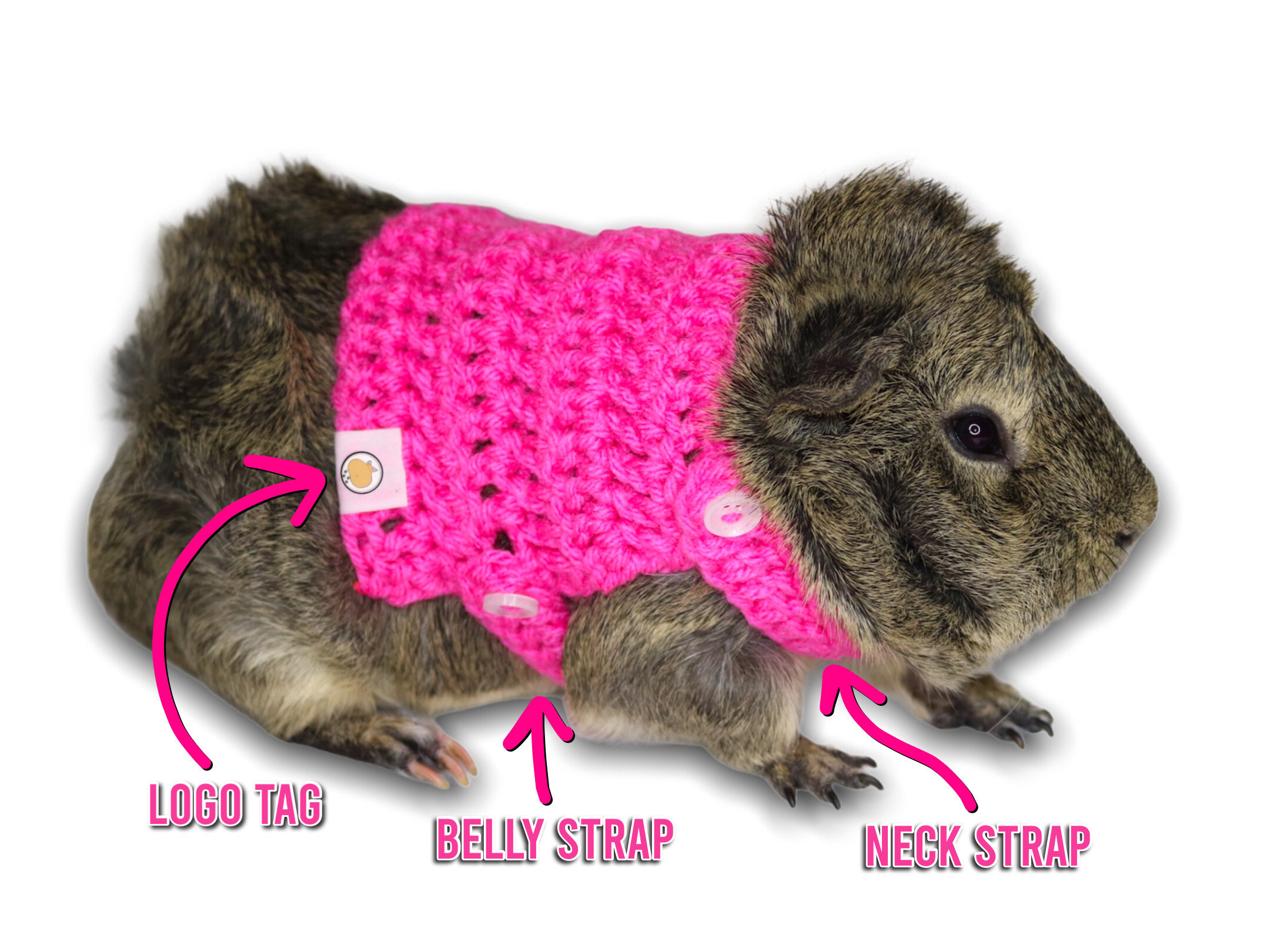 Crochet Guinea Pig Sweater/outfit Colorful Comfortable Etsy UK