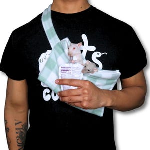 May include: A person wearing a black t-shirt with the word "Rats" printed on it is carrying two white rats in a green and white checkered fabric pouch. The pouch is worn as a sling across the person's shoulder.