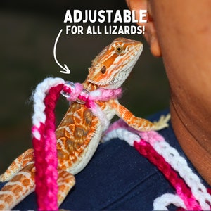 May include: A pink and white crocheted lizard leash with the text "ADJUSTABLE FOR ALL LIZARDS!" on a white background. The leash is on a person's shoulder with a lizard on the leash.