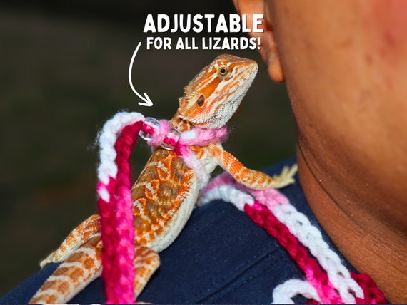 Bearded Dragon Leash for Bearded Dragon Adjustable Leash for Reptile Harness for Iguana Leash for Iguana, Lizard Harness for Lizard Leash