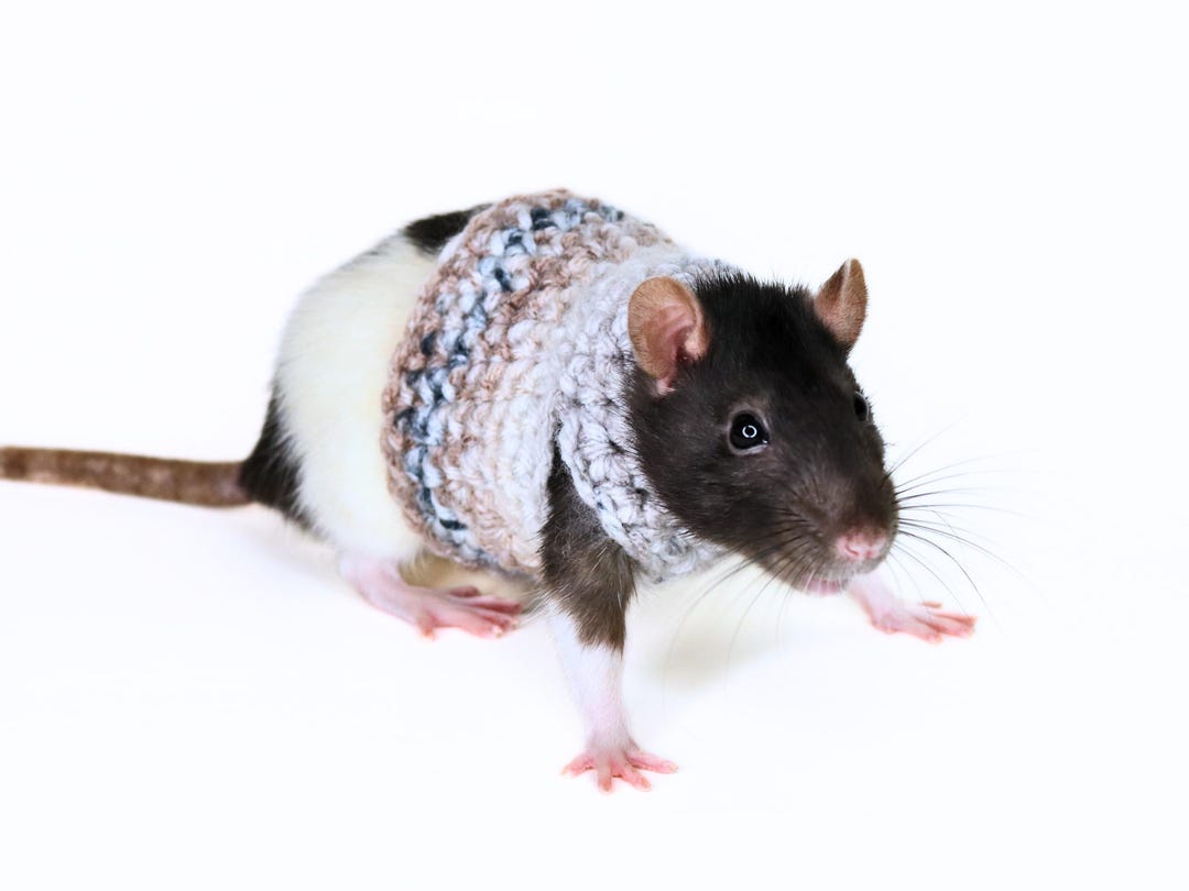 Fashionable Rats Crochet Rat Sweater for Fancy Rat Clothing for Small Pet Clothing for ...