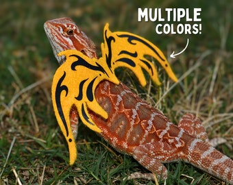 Bearded Dragon Wings for Bearded Dragon Fairy Wings for Reptile Fairy Wings for Pet Costume for Bearded Dragon Costume for Reptile Wings