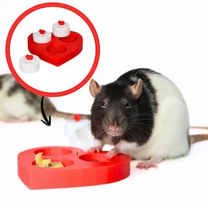 May include: A red heart-shaped pet food bowl with three circular compartments, each holding a small white cylinder topped with a red heart. A black and white rat is near the bowl. The bowl is designed for small pets.