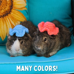 Guinea Pig Hat for Guinea Pig Crochet Pet Sun Hat for Rodent Accessories for Pet Photoshoots, Guinea Pig Accessories and Clothing