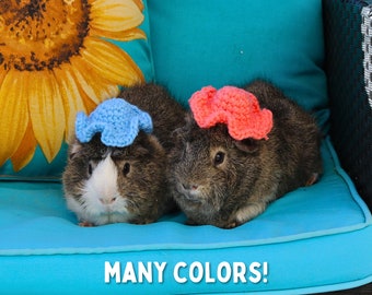 Guinea Pig Hat for Guinea Pig Crochet Pet Sun Hat for Rodent Accessories for Pet Photoshoots, Guinea Pig Accessories and Clothing